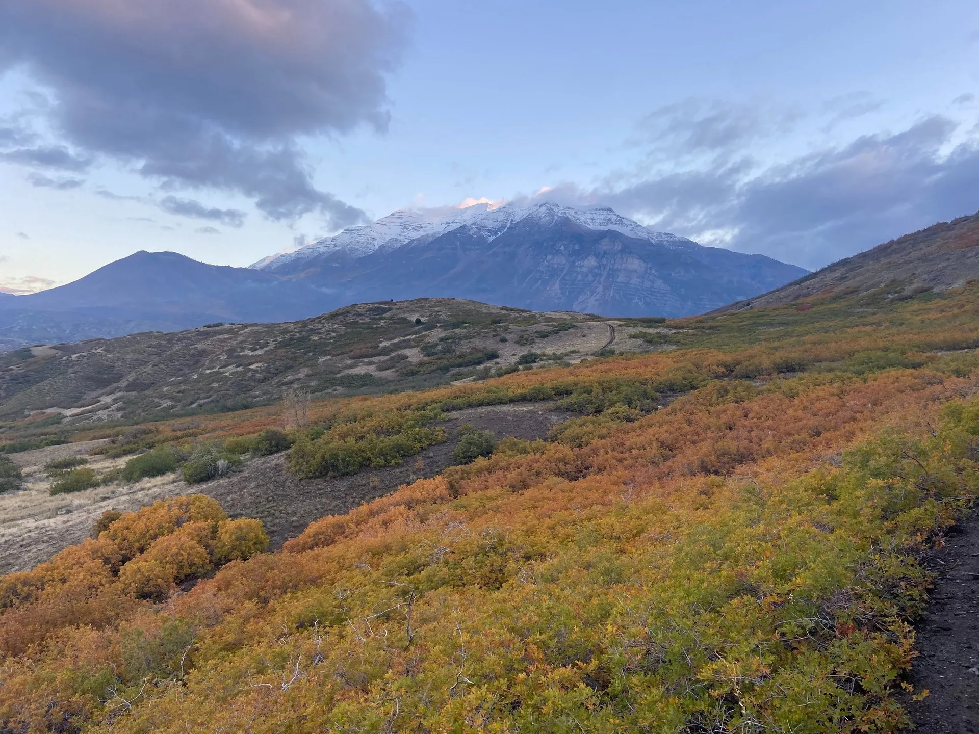 Views of Mt. Timpanogos